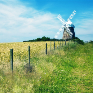 玩弄熟女的荫毛荫蒂大
