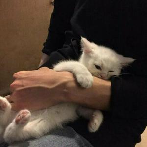 玩弄熟女的荫毛荫蒂大
