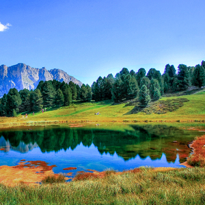 玩弄熟女的荫毛荫蒂大
