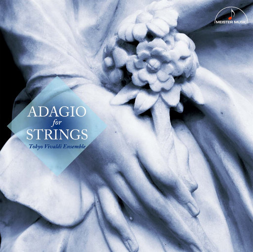 玩弄熟女的荫毛荫蒂大
